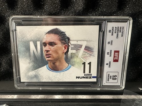 Futera 2024 world football - fx,