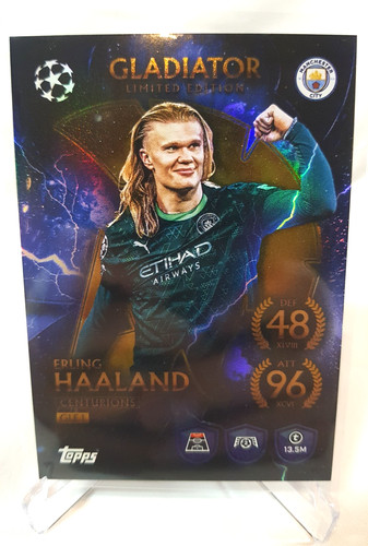 Erling haaland gladiator - erling,