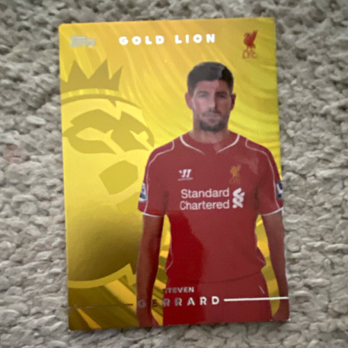 Topps premier league steven - ⁠topps,