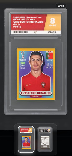 Ronaldo gold border world 2022