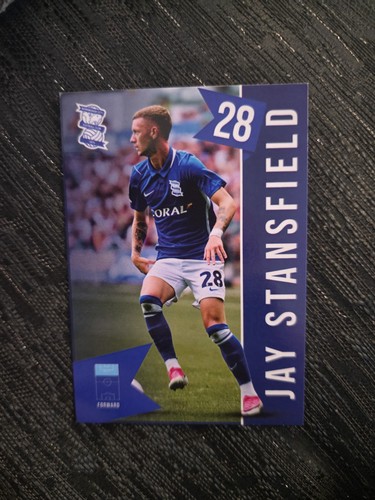 Birmingham city limited - birmingham,
